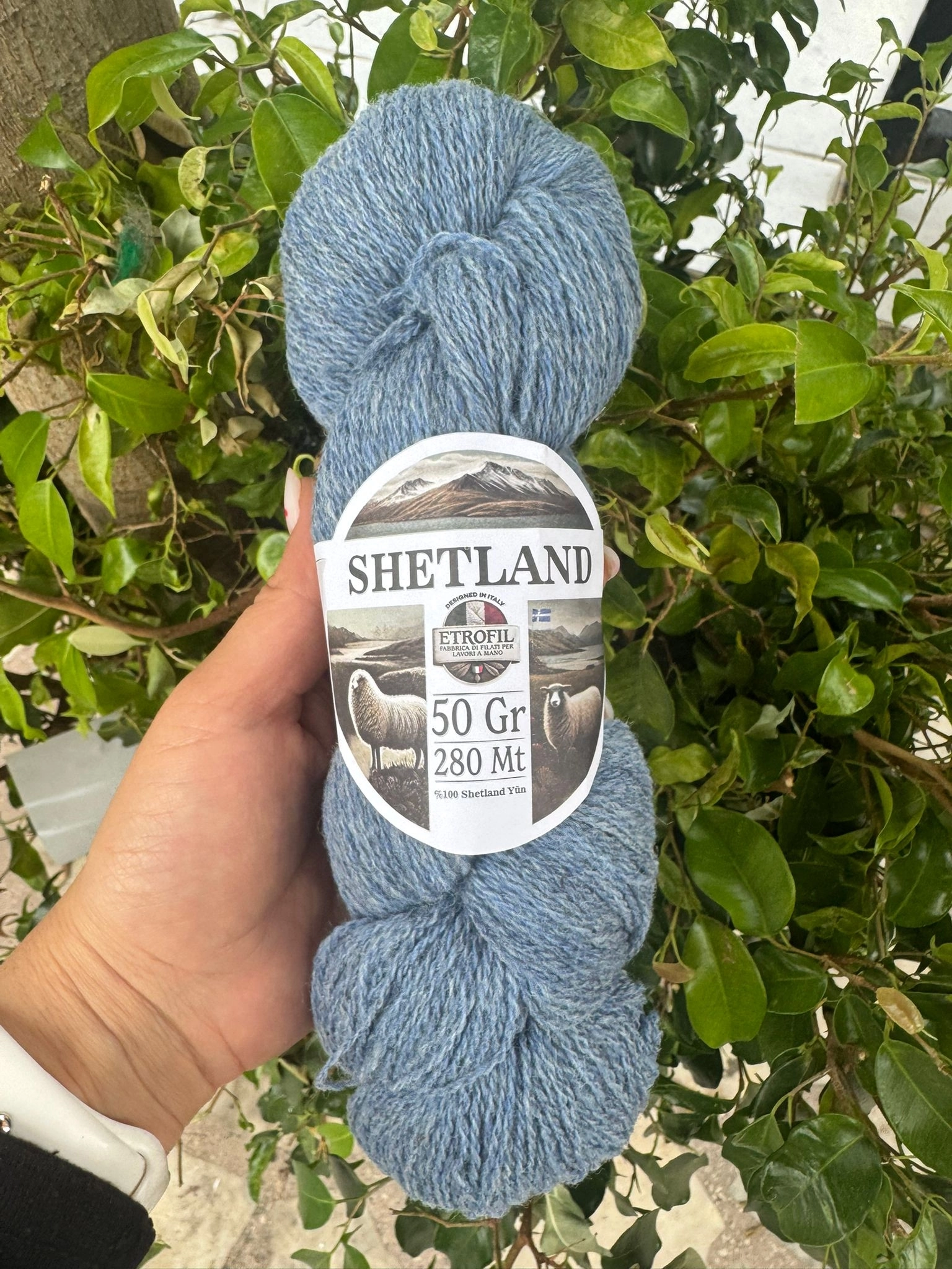 SHETLAND